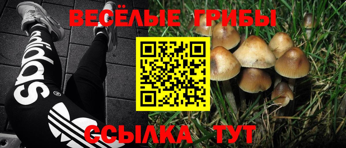 Псилоцибиновые грибы Cubensis  Галлюциногенные грибы Magic Shrooms  Вход с VPN  Лысьва 