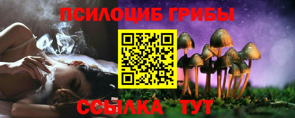 Псилоцибиновые грибы GOLDEN TEACHER Лысьва